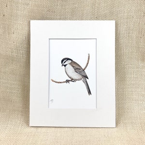 Mountain Chickadee matted print, Archival print, Bird painting, Watercolor, Home decor
