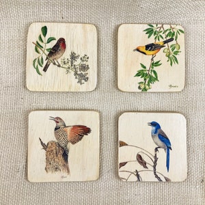 Backyard Bird Coasters