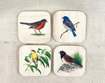 Bird Coasters, Set of 4, American robin, Western bluebird, Lesser goldfinch. Oregon junco