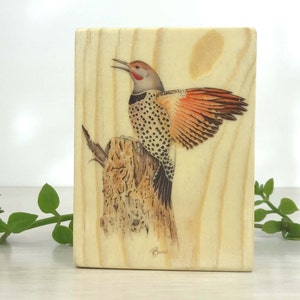 Northern Flicker wood panel, Flicker on wood, Wooden wall art, Bird art, watercolor
