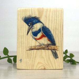 Belted Kingfisher wood panel, Belted Kingfisher wood print, Wooden wall art, Kingfisher print, Bird art, watercolor