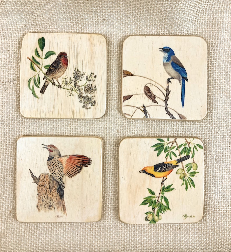 Backyard Bird Coasters