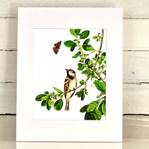 House Sparrow Matted Print, one-of-a-kind watercolor painting