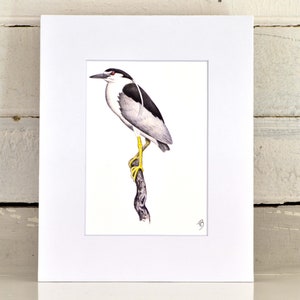 Night Heron Matted Print, one-of-a-kind watercolor painting