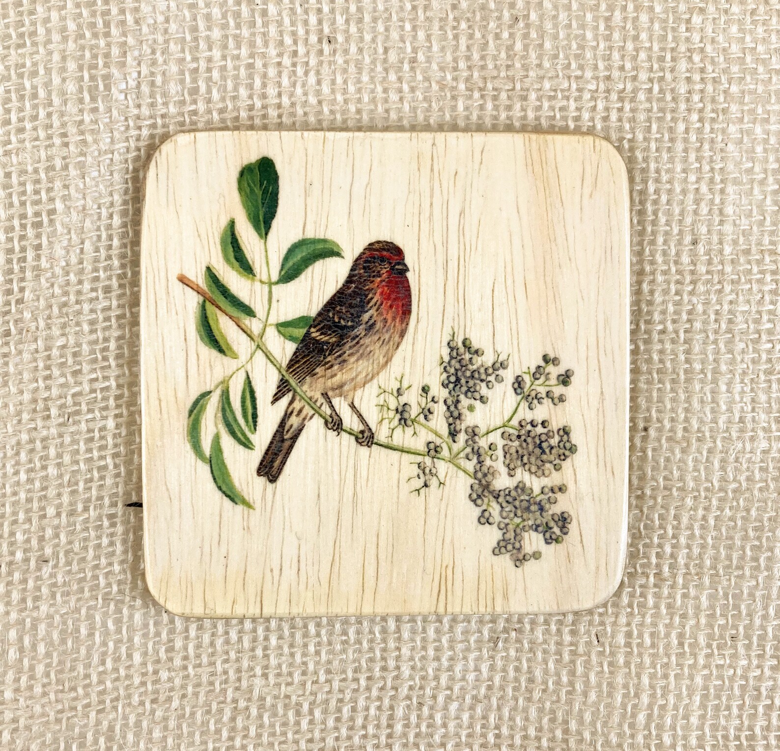 Backyard Bird Coasters - Etsy