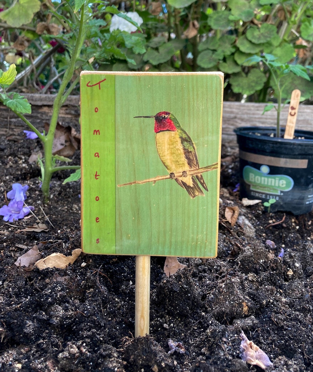 Custom Bird Garden Marker, Bird Art, Garden Art, Hummingbird, Anna's