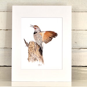 Flicker Matted Print, one-of-a-kind watercolor painting