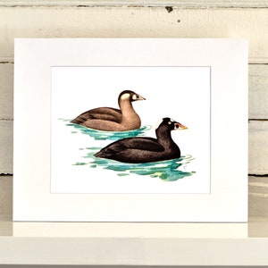 Common Loon Matted Print, one-of-a-kind watercolor painting