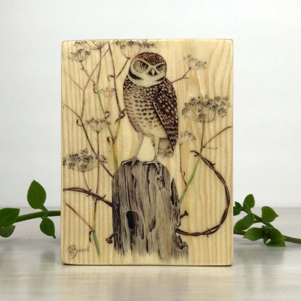 Wooden Owl Wall Art Etsy