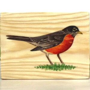 American Robin wood panel, American Robin wood print, wooden wall art, Robin print, bird art, watercolor