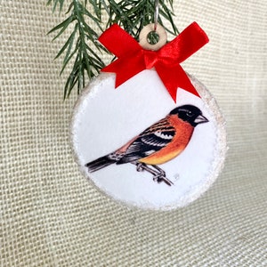 Bird Ornament - Black Headed Grossbeak