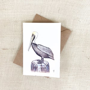 Pelican Notecard, blank inside