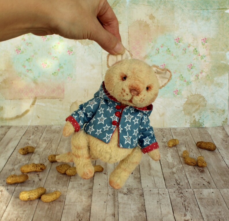 teddy cat toy