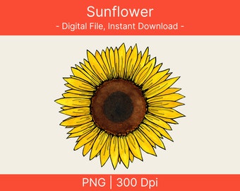 Sunflower Png, Sunflower Sublimation Design, Sunflower Png, Hand Drawn Sunflower Png, Sunflower Clipart Png, Sunflower Png Digital Download