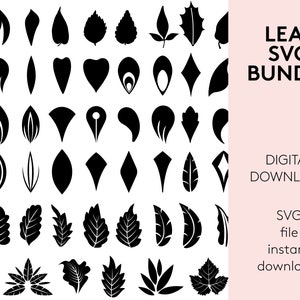 Leaf SVG Bundle