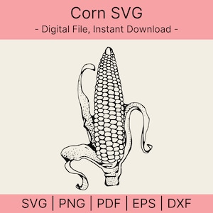 Corn SVG, Vintage Corn SVG File, Corn Design for Crafting, Vector Cut file for Cricut, Silhouette, Pdf Png Eps Dxf, Decal, Sticker, Vinyl