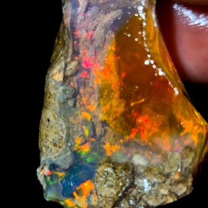 May include: A rough, uncut opal gemstone with vibrant internal colors. The stone displays flashes of red, orange, yellow, green, and blue within a translucent, amber-colored matrix. The exterior has a rough, textured appearance.