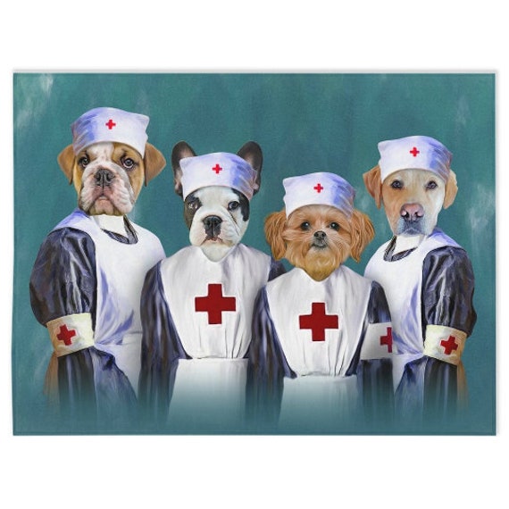 Why Does My Dog Nurse On Blankets