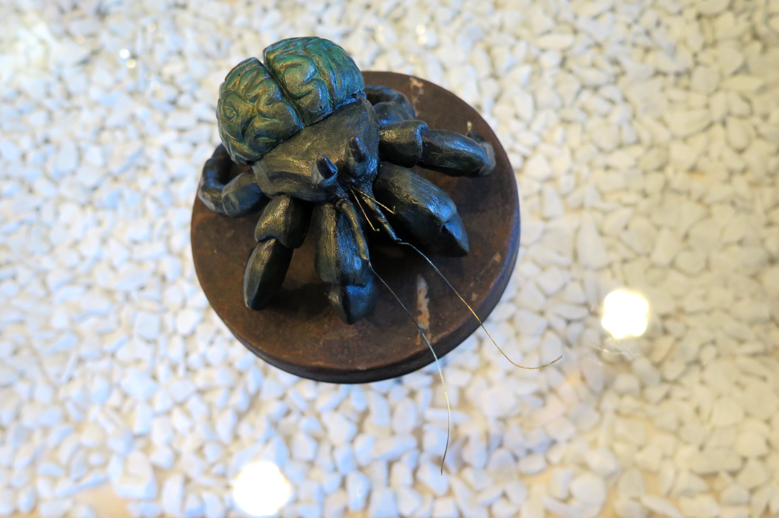 Hermit Crab Brain Brain Hermit Crab Etsy UK