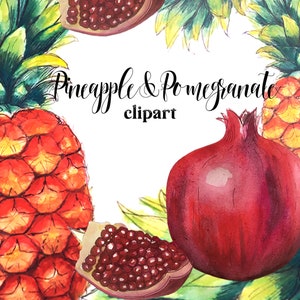 fruit clipart, watercolor fruit clipart, fruit watercolor clipart, watercolor pineapple clipart, watercolor pomegranate clipart