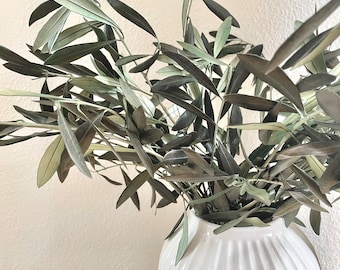 Dried olive branch | Dried flowers | Wedding decoration | Bouquet olive leaf | dried olive as decoration
