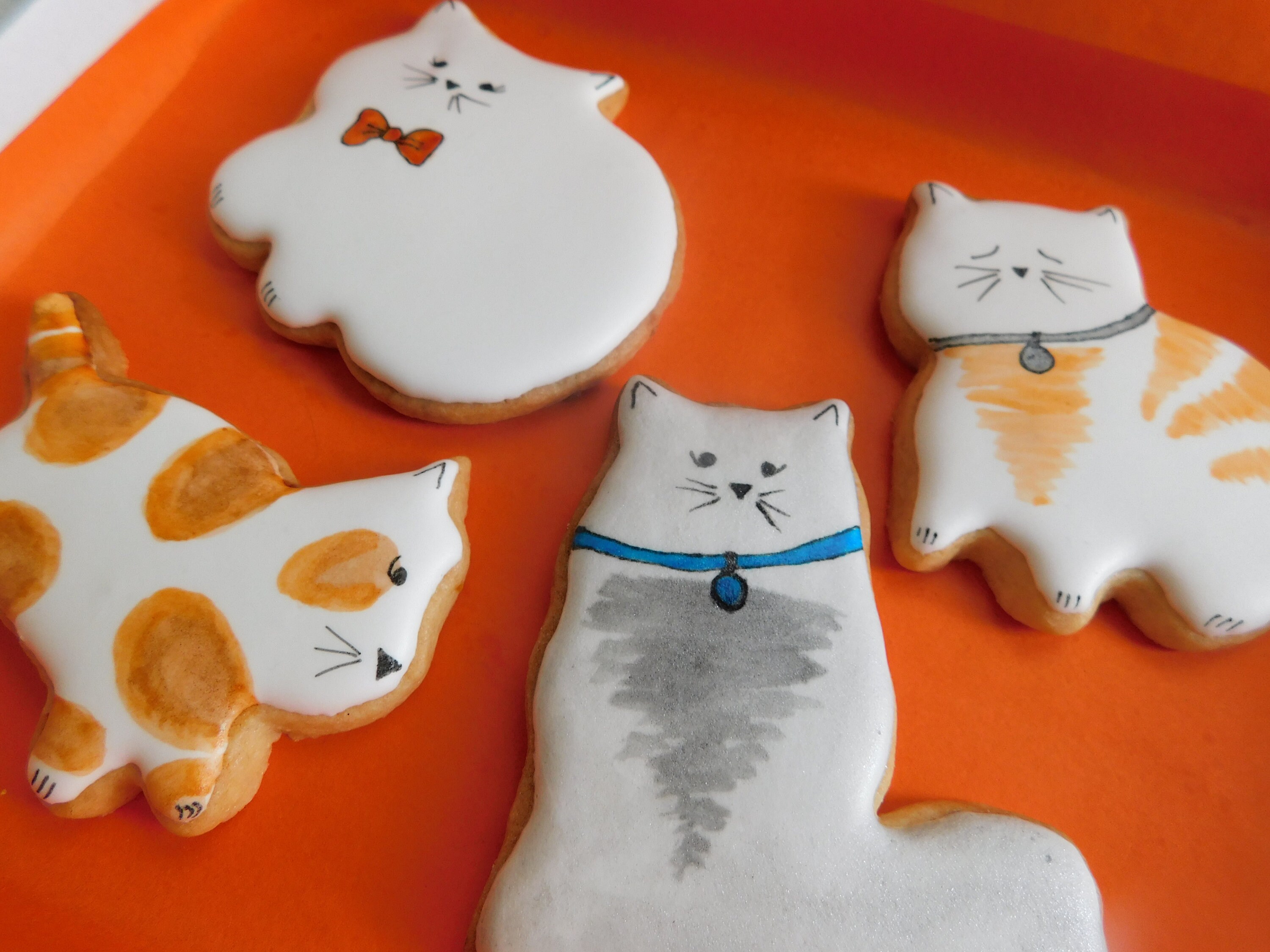 Mad About Cats Biscuit Gift Set of 4 Birthday Cat Lover Etsy