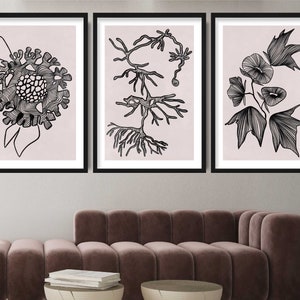 Conjunto de 3 láminas: imágenes neutras de flora botánica ilustrativa bohemia