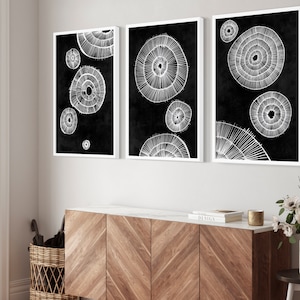 May include: Three black and white abstract art prints with white circular designs on a black background. The prints are framed in white and hung on a white wall above a wooden cabinet.