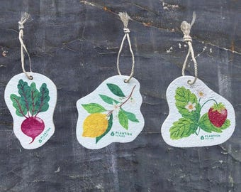 May include: Three white paper ornaments with string hangers, each featuring a different fruit or vegetable. The first ornament has a red beet with green leaves. The second ornament has a yellow lemon with green leaves and white flowers. The third ornament has a red strawberry with green leaves and a white flower. Each ornament has the text "Plantish Future" printed on it.