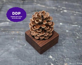 Pinecone Wooden Essential Oil Diffusers for Car, Home, Bathroom Natural Essential Oil Air Freshener Plantish Future