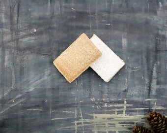 Set of 2 Eco Sponges | Loofah Wood Pulp | 100% Compostable and Biodegradable Scourer | Zero Waste | Plantish