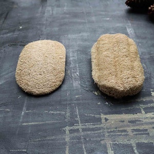 Natural Loofah Dishwashing Sponge | Vegan Unbleached Compostable Dishwashing Tool | Zero Waste Dishwashing | Dish Soap | Plantish