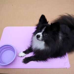 Prioritize your small pet's well-being with our Pet Slow Feeding Set. Featuring a collapsible drinking bowl, a textured licking plate to improve digestion and clean the tongue, and an anti-slip feeding mat for easy cleanup.