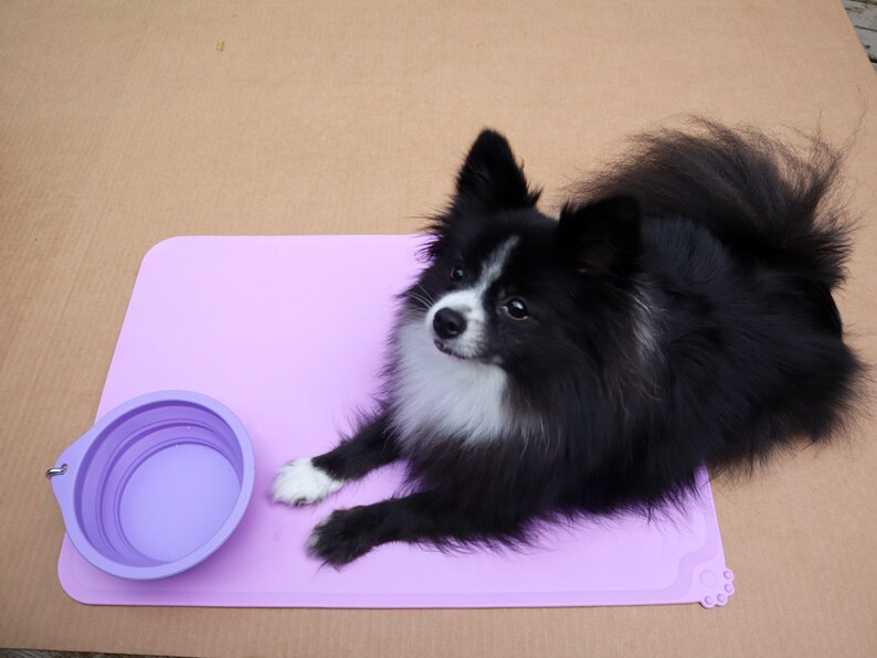 Prioritize your small pet's well-being with our Pet Slow Feeding Set. Featuring a collapsible drinking bowl, a textured licking plate to improve digestion and clean the tongue, and an anti-slip feeding mat for easy cleanup.