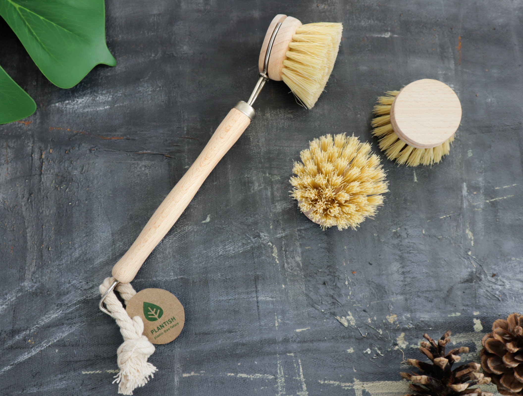 Wooden Dish Brush - Horsehair Bristles — Sunday Shop