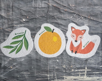 Set of 3 Bestselling Pop up Sponges + Hook | Zero Waste Biodegradable Kitchen Sponge Wood Pulp Compostable Scourer Sustainable Products