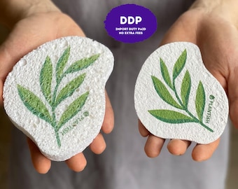 May include: Two white, irregularly shaped, porous cleaning sponges featuring a green leaf illustration and the text PLANTISH printed on the surface. The sponges have a textured, foam-like appearance and are held in a pair of hands.