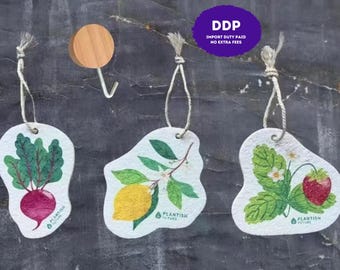 Puede incluir: Tres paños de limpieza absorbentes de color blanco roto con formas irregulares y cordones para colgar. Cada uno presenta una ilustración en acuarela de una remolacha, un limón con hojas o una planta de fresa, con el texto Plantish Future.