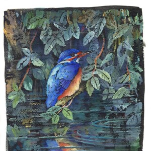 Paire de Kingfisher Wildlife Ink Wash et Aquarelle Bird Giclée Painting Prints