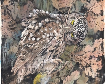 Tawny Owl Ink Wash and Watercolor Bird Giclée Painting Print