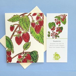 Raspberry Note Card: Hand-Illustrated Haiku Greeting with Linen Envelope