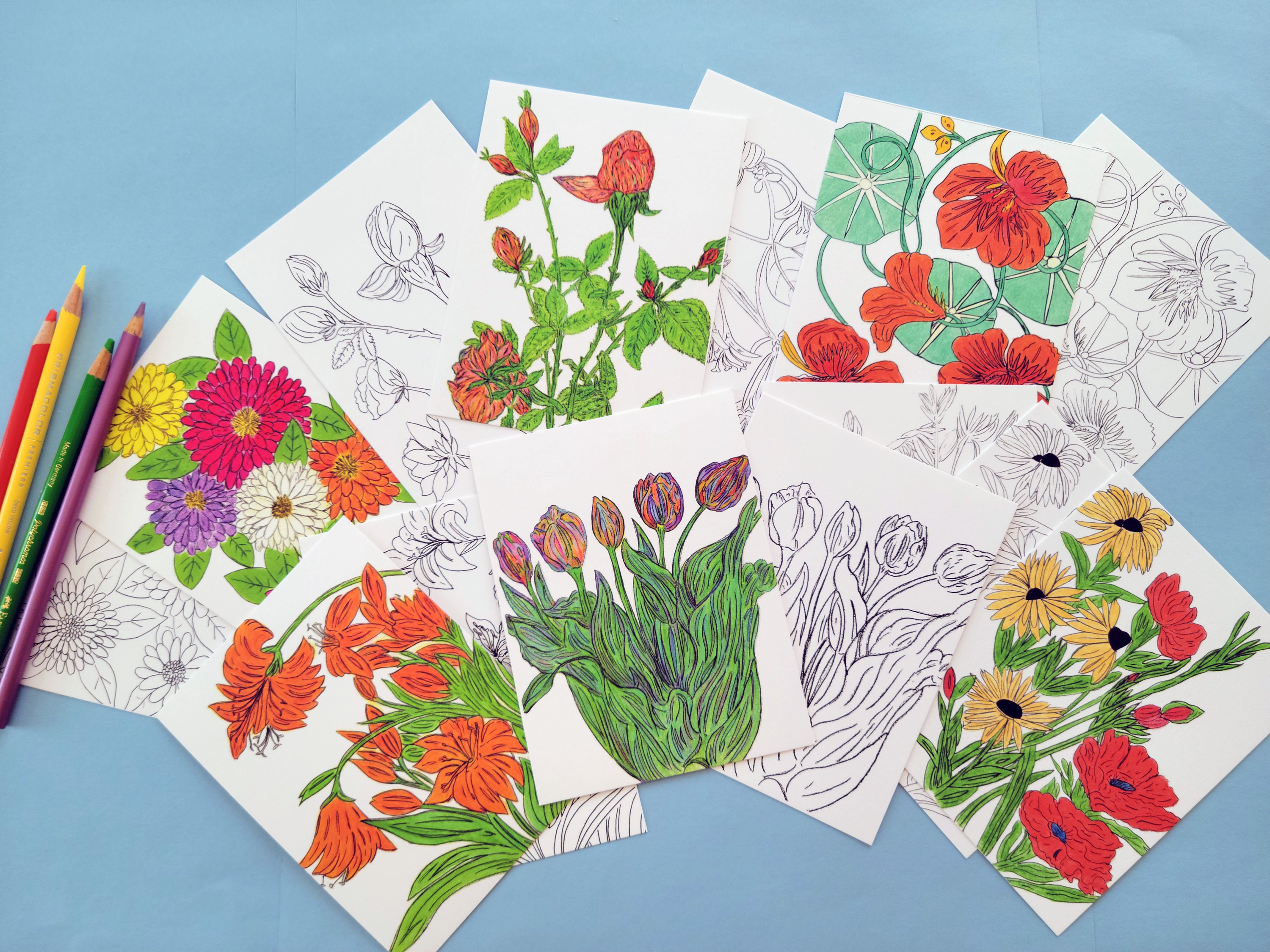 Floral Coloring Postcards Set: Matte Cardstock, All Ages