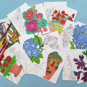 A collection of eight blank coloring cards featuring various floral and plant illustrations. The cards are white with black outlines and include images of a blue morning glory, a red geranium, a purple flower with a hummingbird, a yellow daffodil, a blue hydrangea, a red geranium, a green succulent, a pink water lily, a red geranium, and a green succulent.