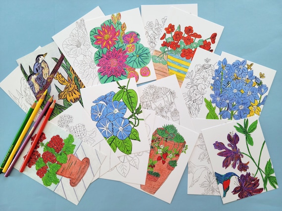 Floral Coloring Postcard Set: Botanical Art for All Ages