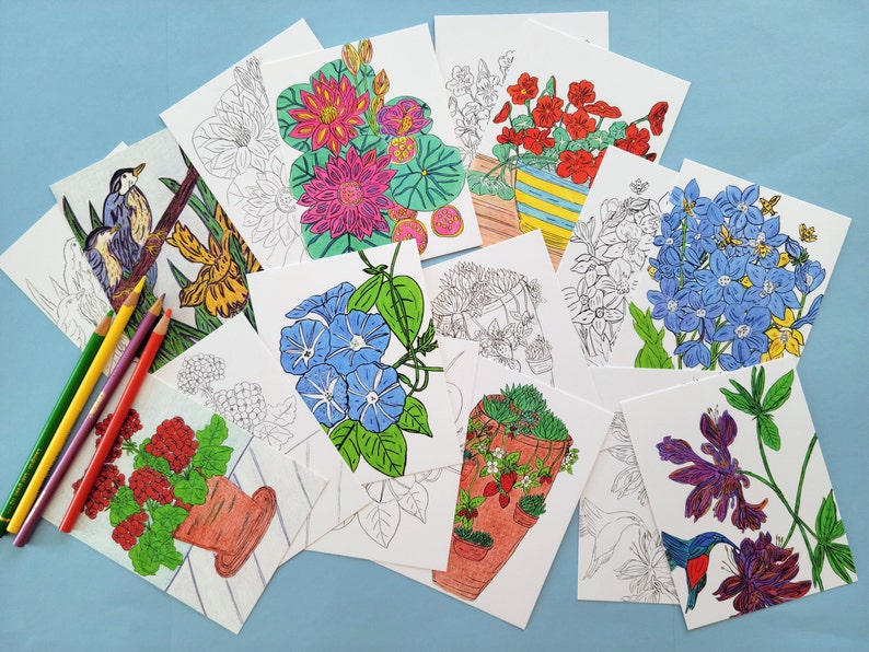 A collection of eight blank coloring cards featuring various floral and plant illustrations. The cards are white with black outlines and include images of a blue morning glory, a red geranium, a purple flower with a hummingbird, a yellow daffodil, a blue hydrangea, a red geranium, a green succulent, a pink water lily, a red geranium, and a green succulent.