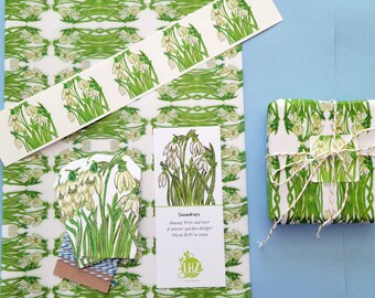 Snowdrops Tissue Paper Kit, Winter, Floral, Early Spring, Birthday, All Occasion Gift Wrap Set