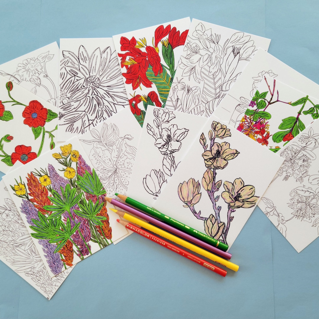 Floral Coloring Postcards Set: Matte Cardstock, All Ages - Etsy