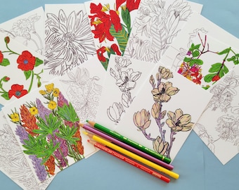 Cartes postales à colorier, lot de cartes postales florales, coloriage pour tous les âges, lot n° 4