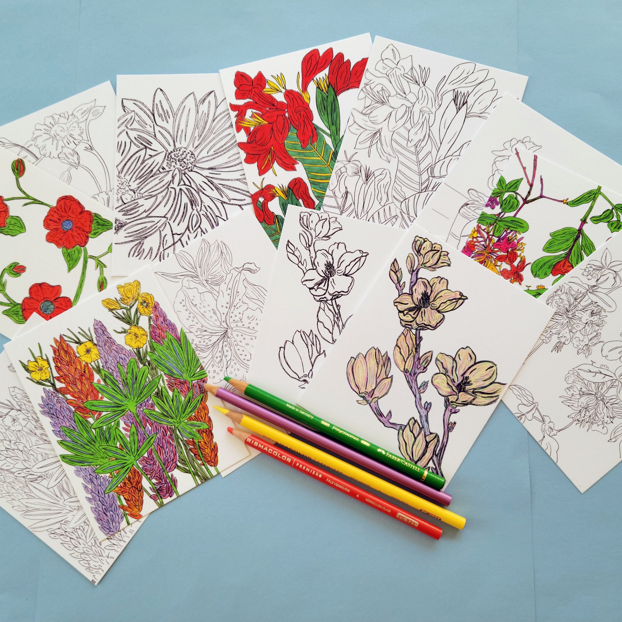 Floral Coloring Postcards Set: Matte Cardstock, All Ages - Etsy