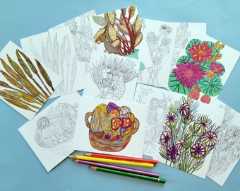 Floral Pods Coloring Postcards: Botanical Art, Set of 8